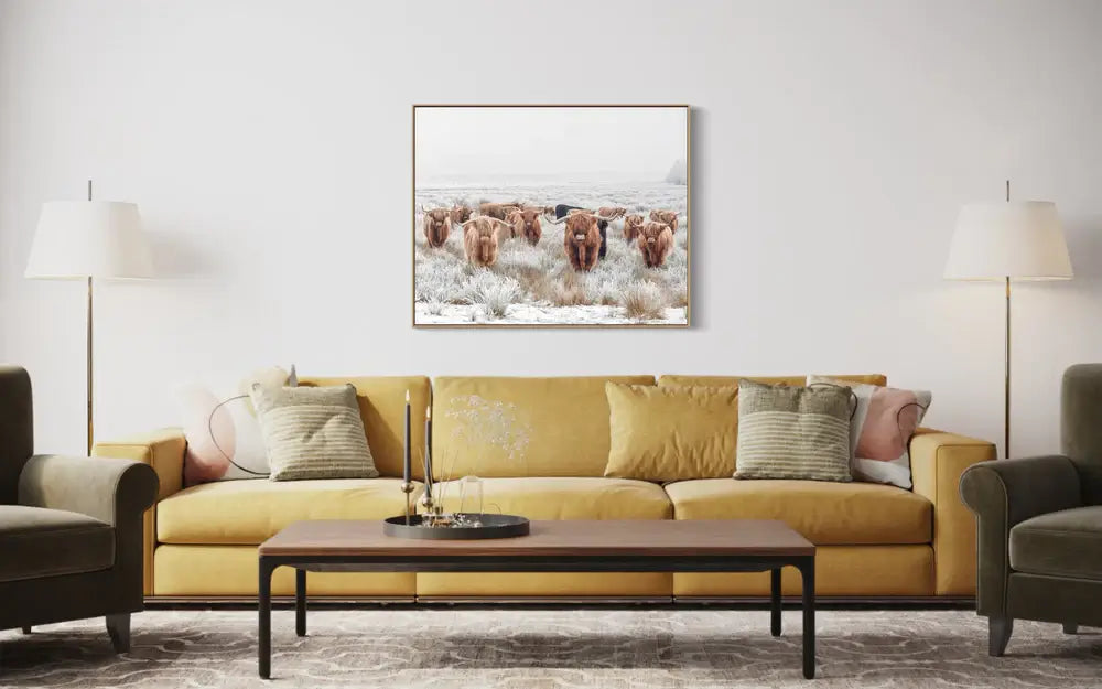American Bull | Framed Wall Art Print| A4-A0