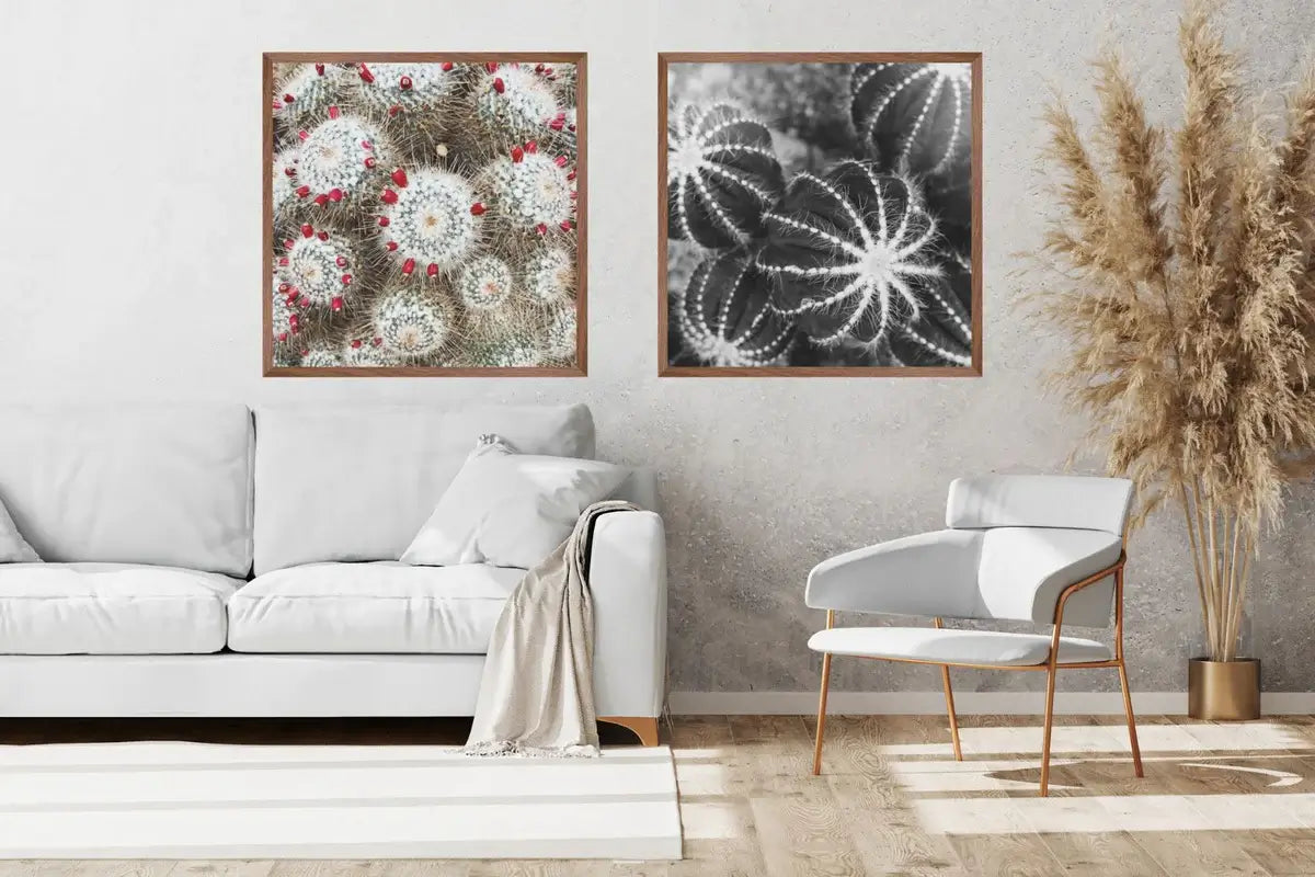 Cacti Set | Wall Art | 30mm deep solid Kiaat wood frame|