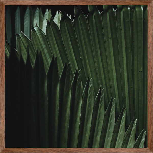 Structured Leaf | Wall Art | Wall art| 30mm deep solid Kiaat wood frame|
