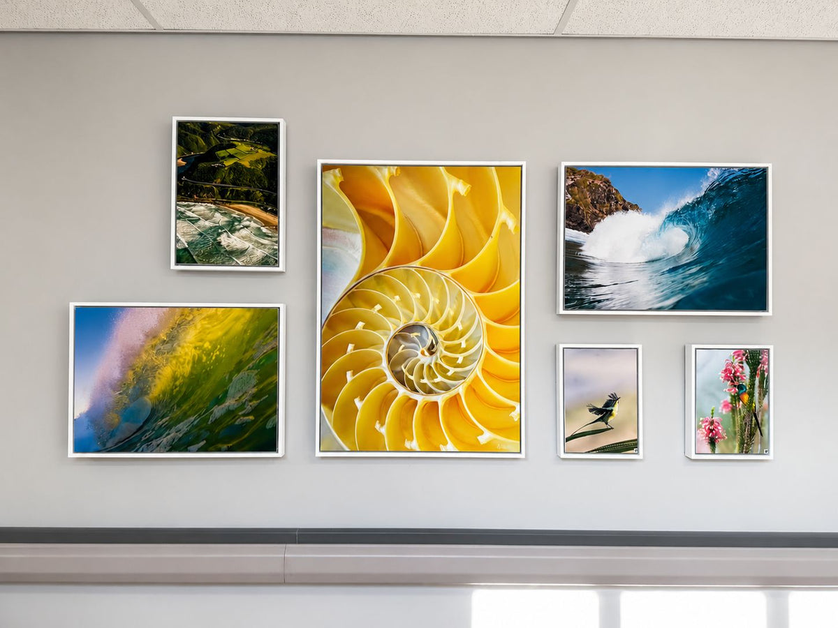 Mediclinic George custom picture framing and installation
