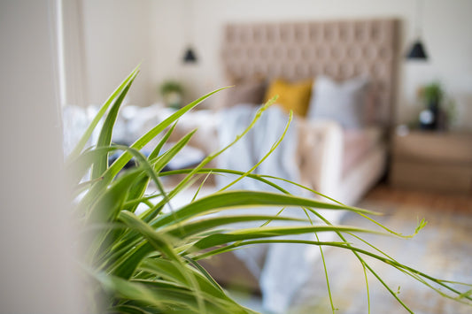 Interior Decor Trends 2023- What's happening?