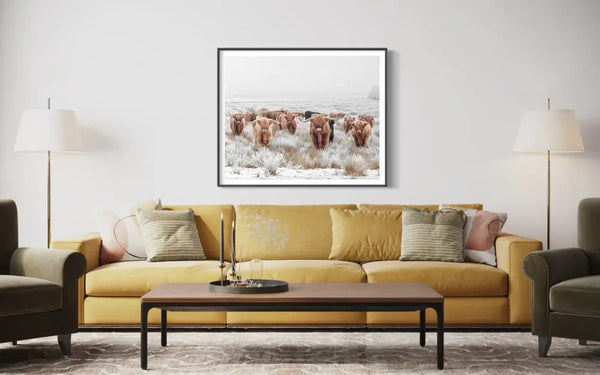 American Bull | Framed Wall Art Print| A4-A0