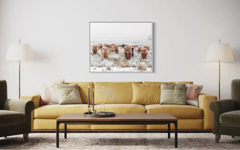 American Bull | Framed Wall Art Print| A4-A0