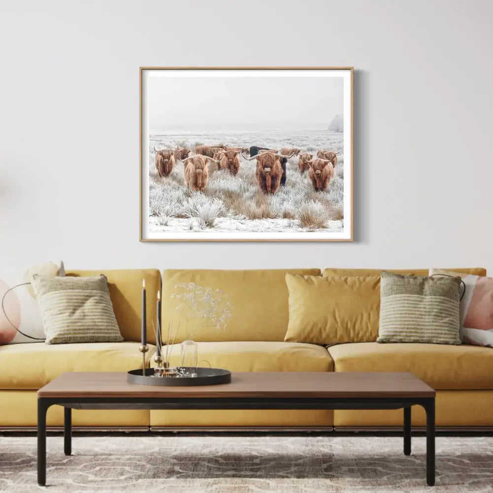 American Bull | Framed Wall Art Print| A4-A0