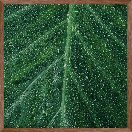 Close-up of Leaf | Wall art| 30mm deep solid Kiaat wood frame|