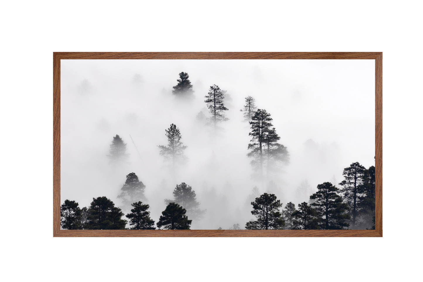 Forest | Wall Art | 30mm deep solid Kiaat wood frame|