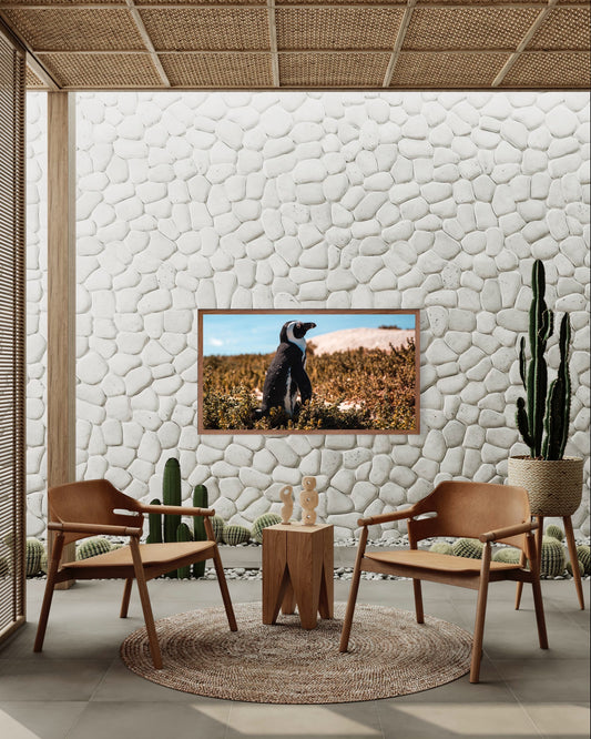 Penguin | Wall Art | Warm Jozi |