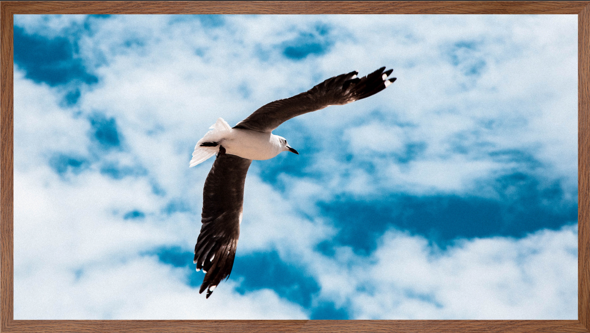 Ocean Views | | Wall Art Sets |  30mm deep Kiaat Wood Frame |